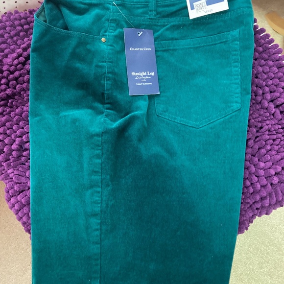 CORDUROY GREEN PANTS - Picture 3 of 5